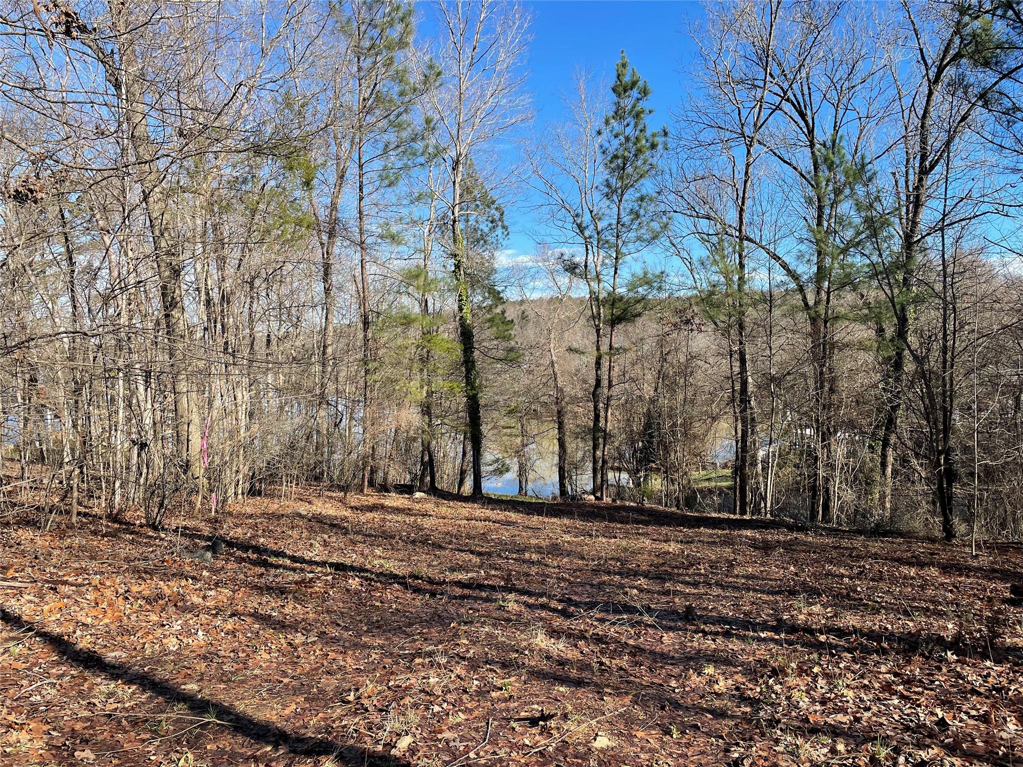 Barefoot Landing - Land
