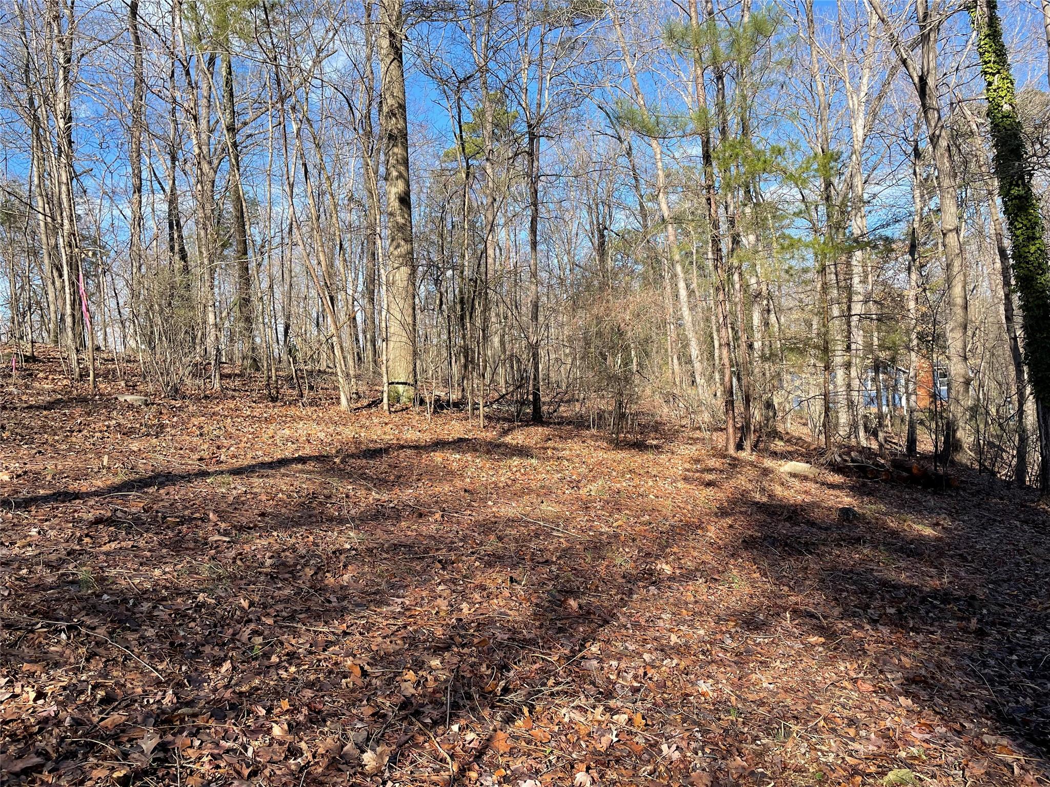 Barefoot Landing - Land