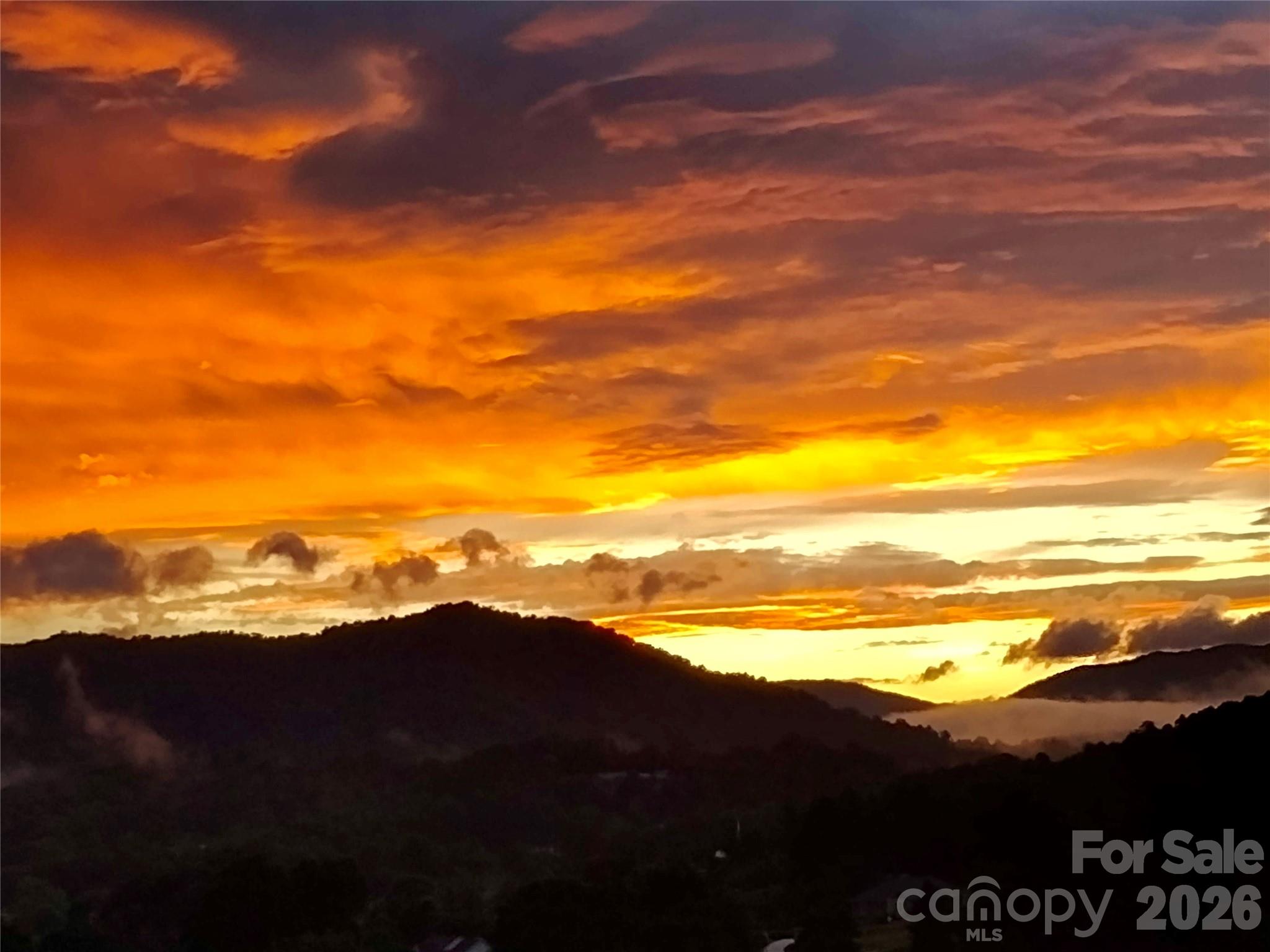 The Views at Rose Hill - Residential