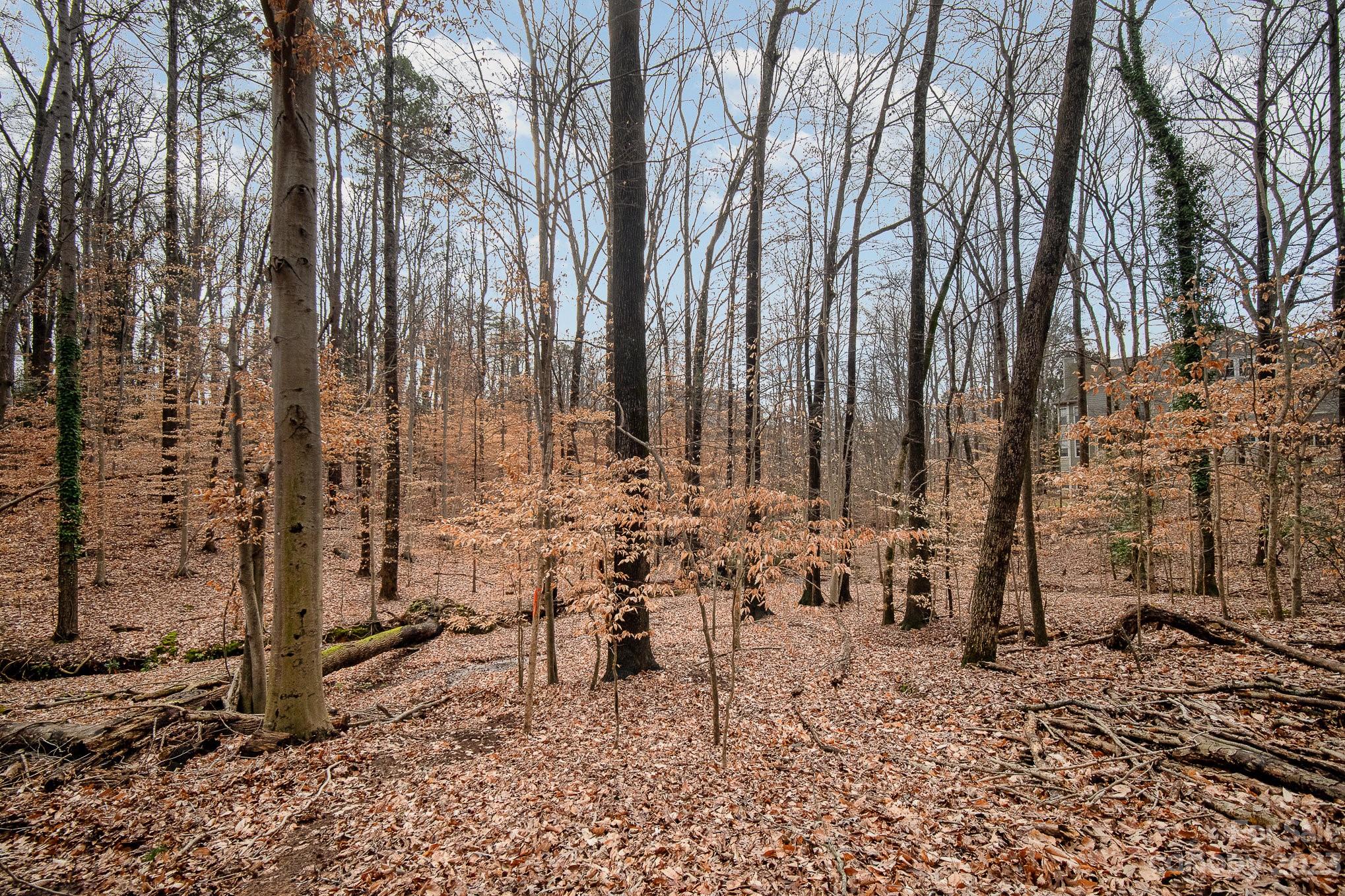 Rexwood Place - Residential