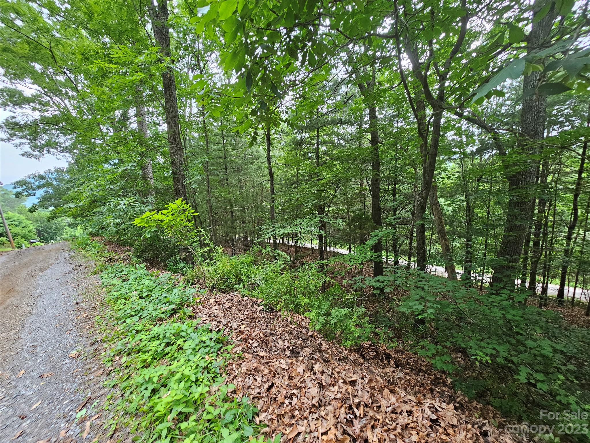 Hyder Mountain Acres - Land