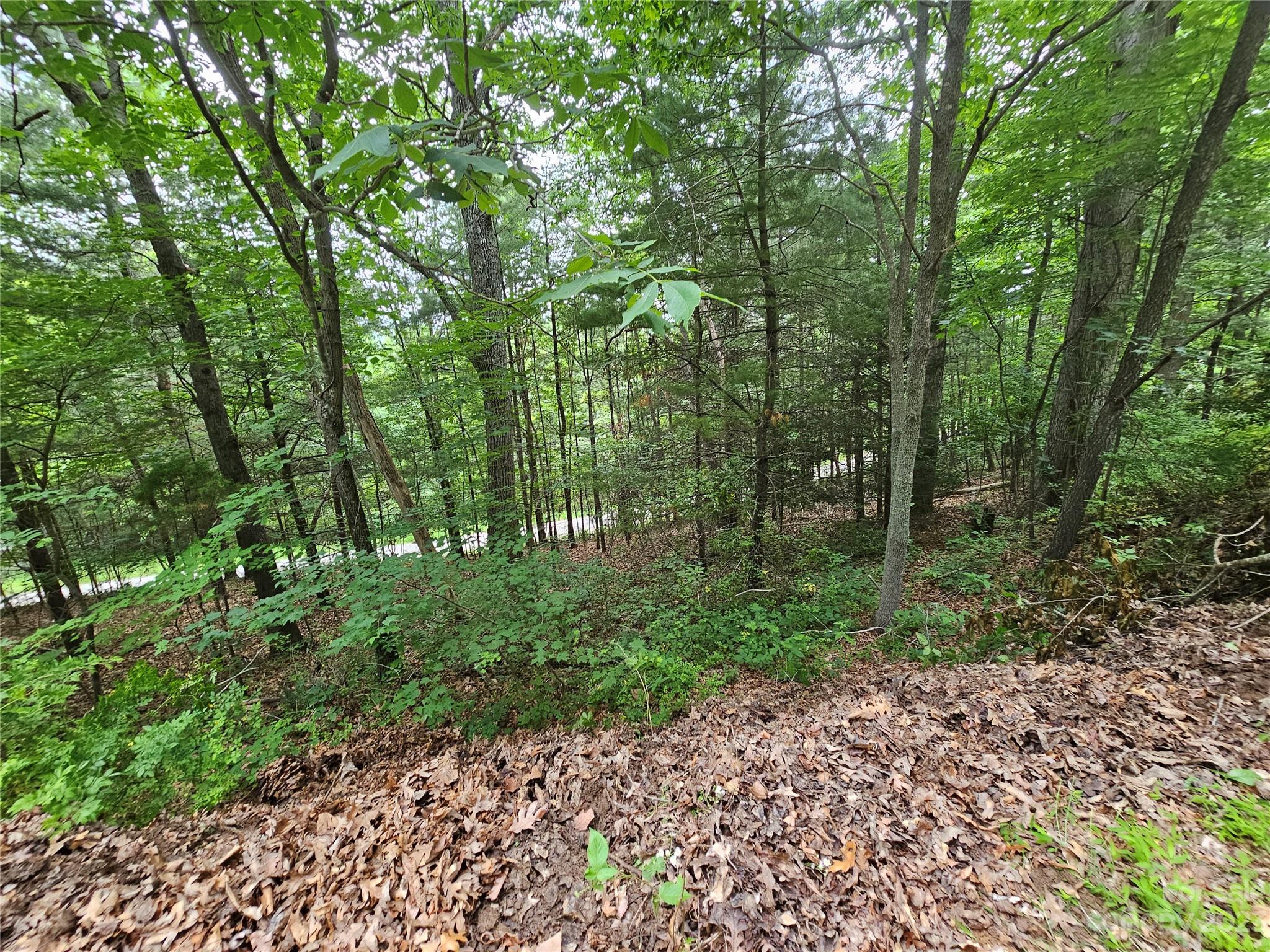 Hyder Mountain Acres - Land