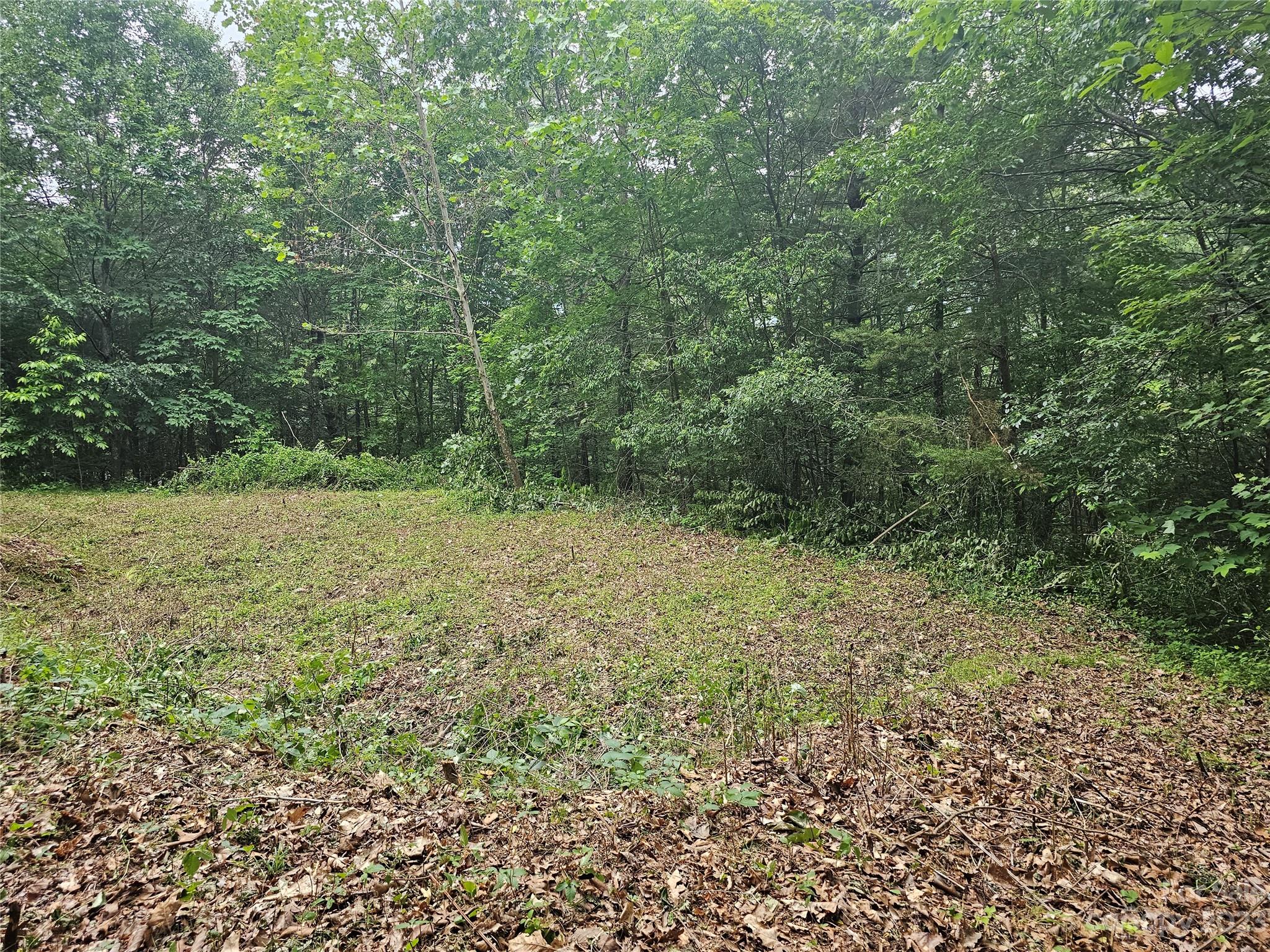 Hyder Mountain Acres - Land