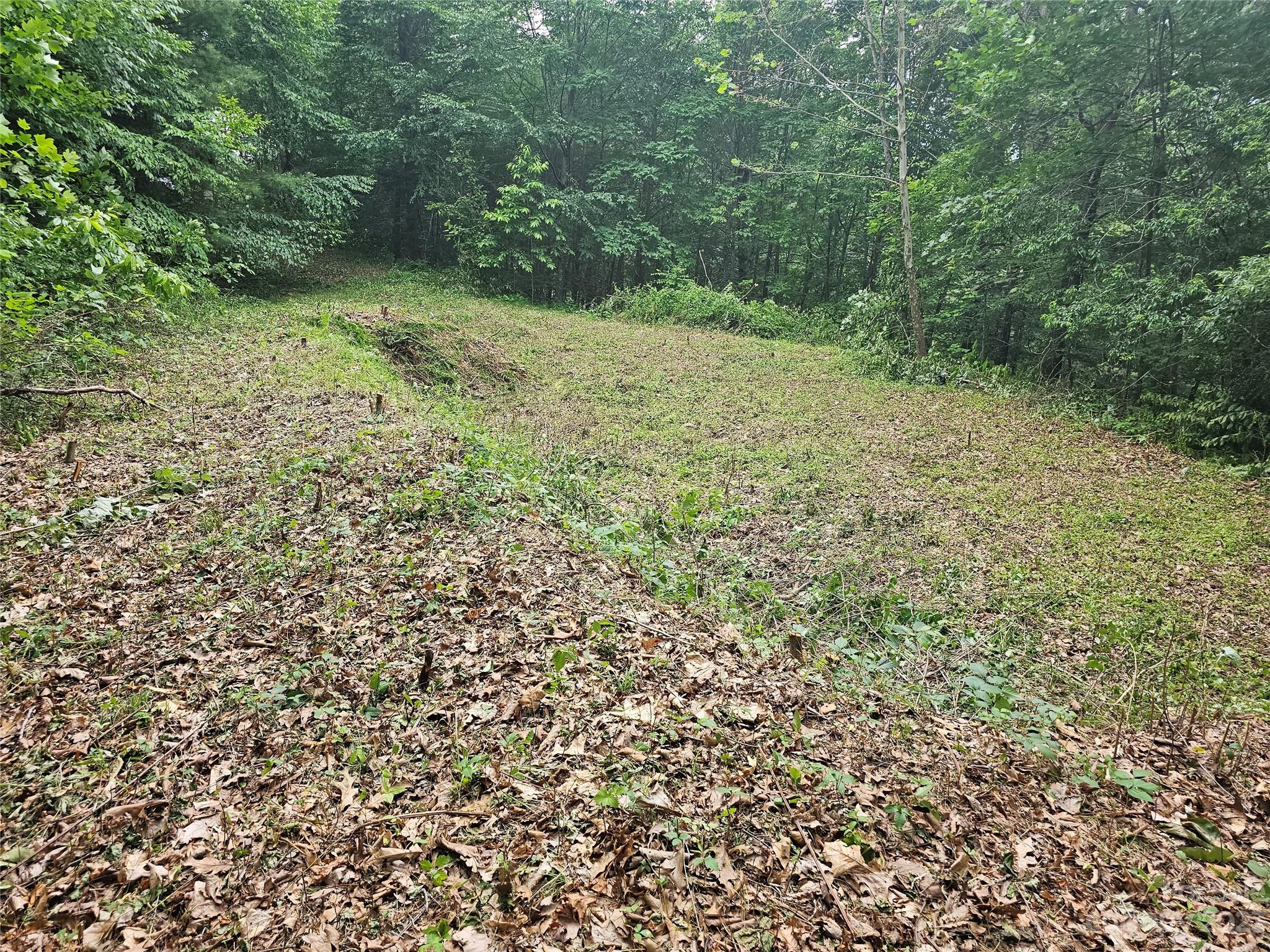 Hyder Mountain Acres - Land