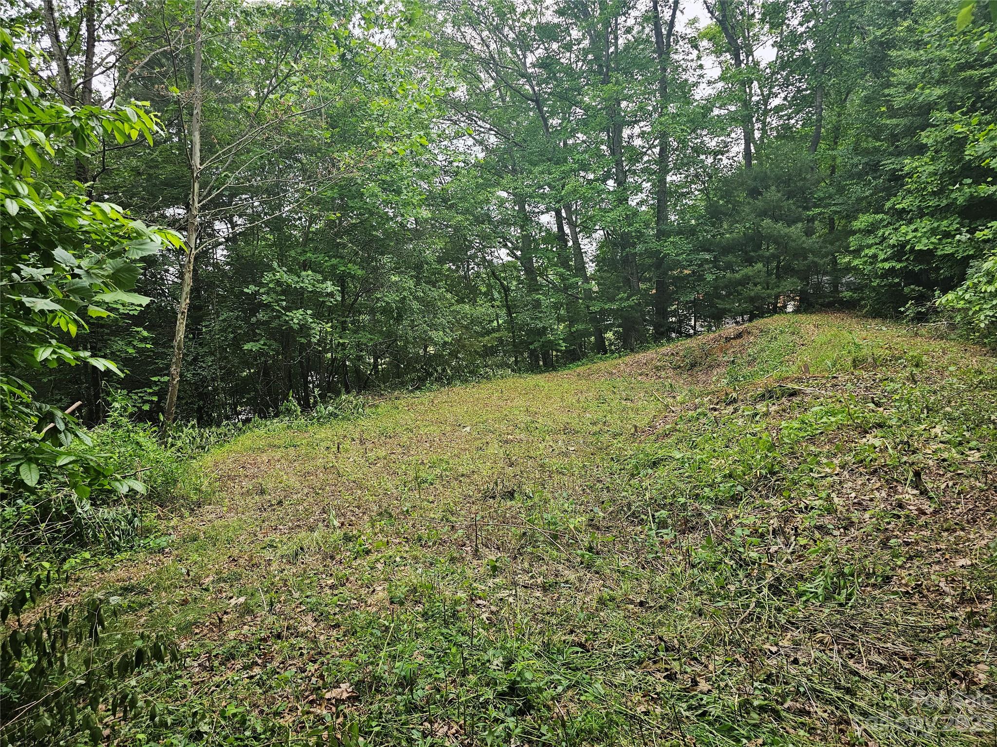 Hyder Mountain Acres - Land