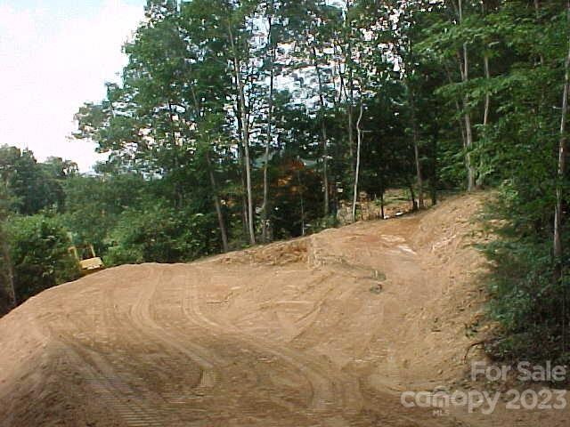 Hyder Mountain Acres - Land