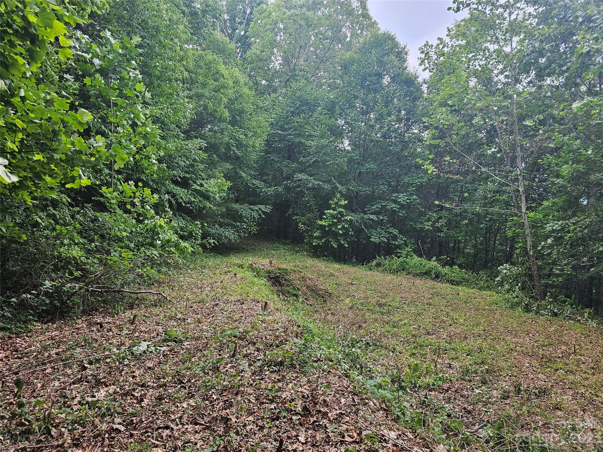 Hyder Mountain Acres - Land