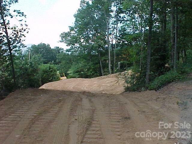 Hyder Mountain Acres - Land