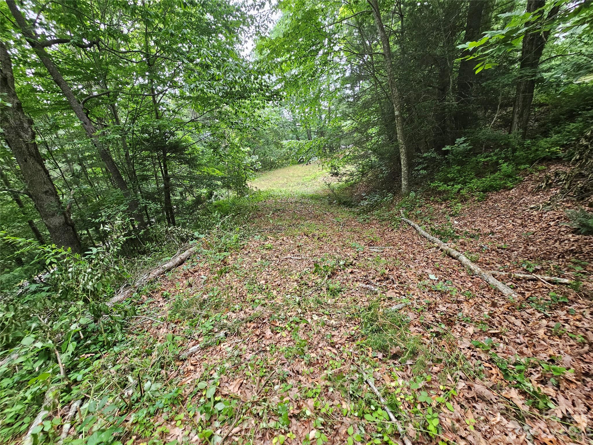 Hyder Mountain Acres - Land