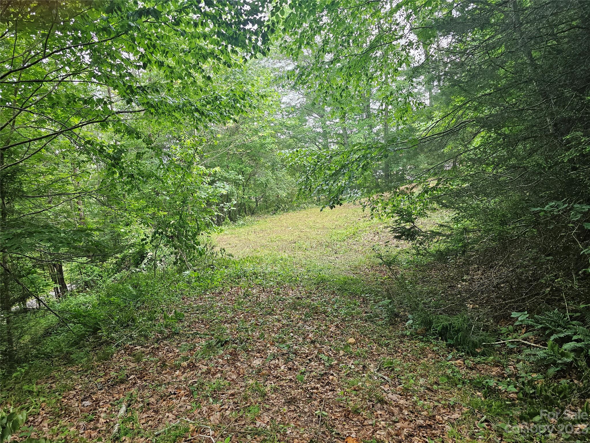 Hyder Mountain Acres - Land