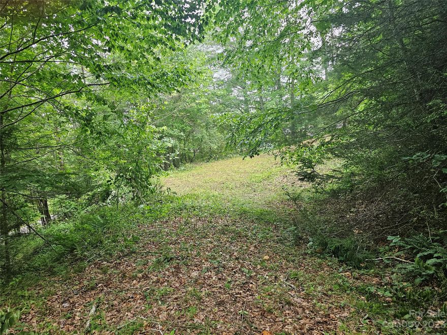 Over 1.2 acre home site located in the Hyder Mountain Acres Subdivision. Easy access to this gently laying parcel. The land has been recently cleared for easy showing. There is a well in place and an upper and lower house pad roughed in. There is a big panoramic view potential with trimming. The parcel is located near I-40 so easy access to Asheville, Tennessee, or the rest of Haywood County. Only a 1000 square foot minimum so you have some flexibility to build (no manufactured homes allowed).