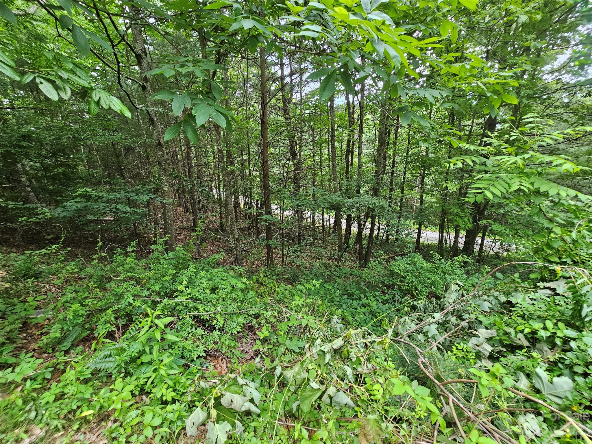 Hyder Mountain Acres - Land