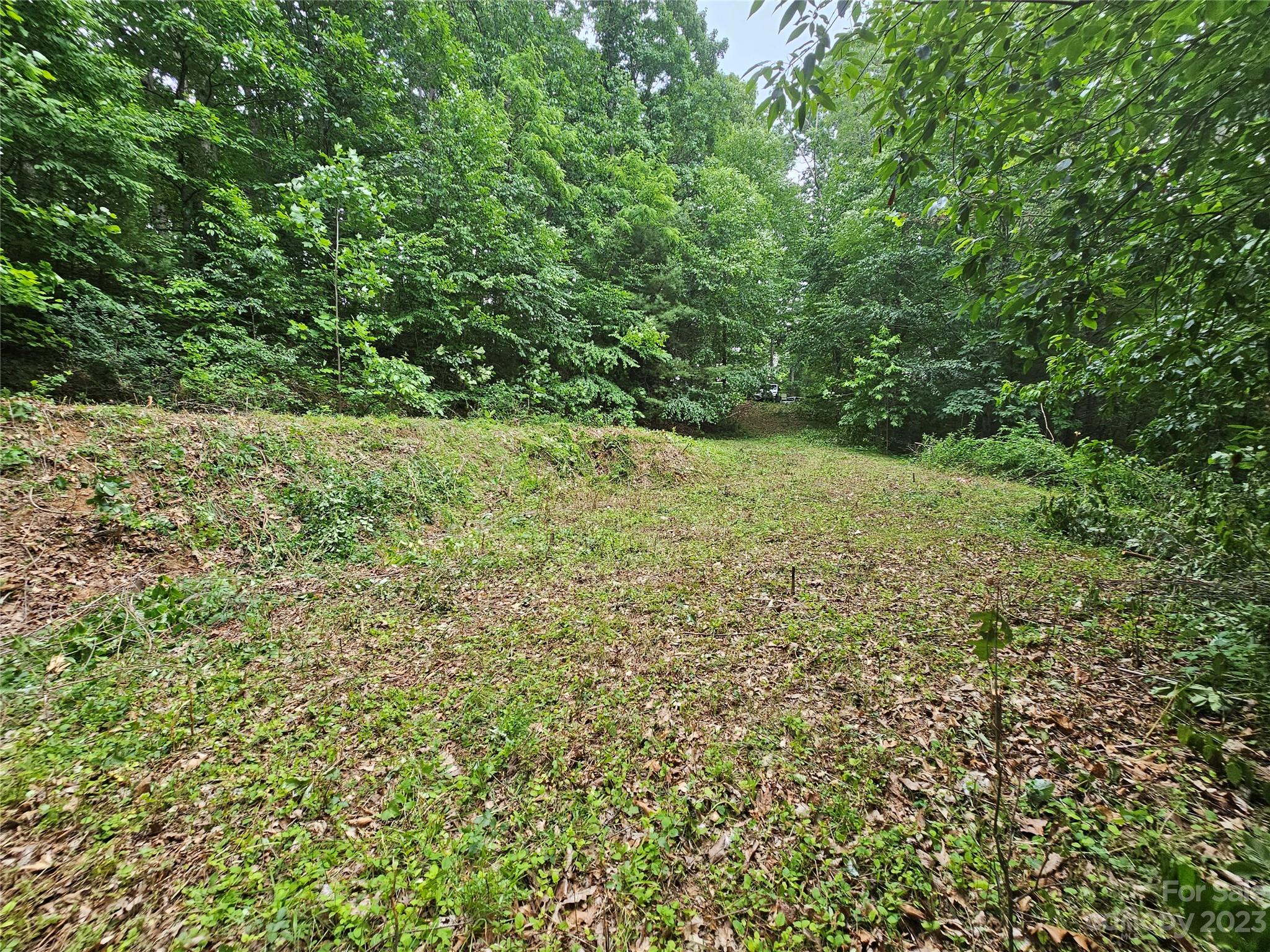 Hyder Mountain Acres - Land