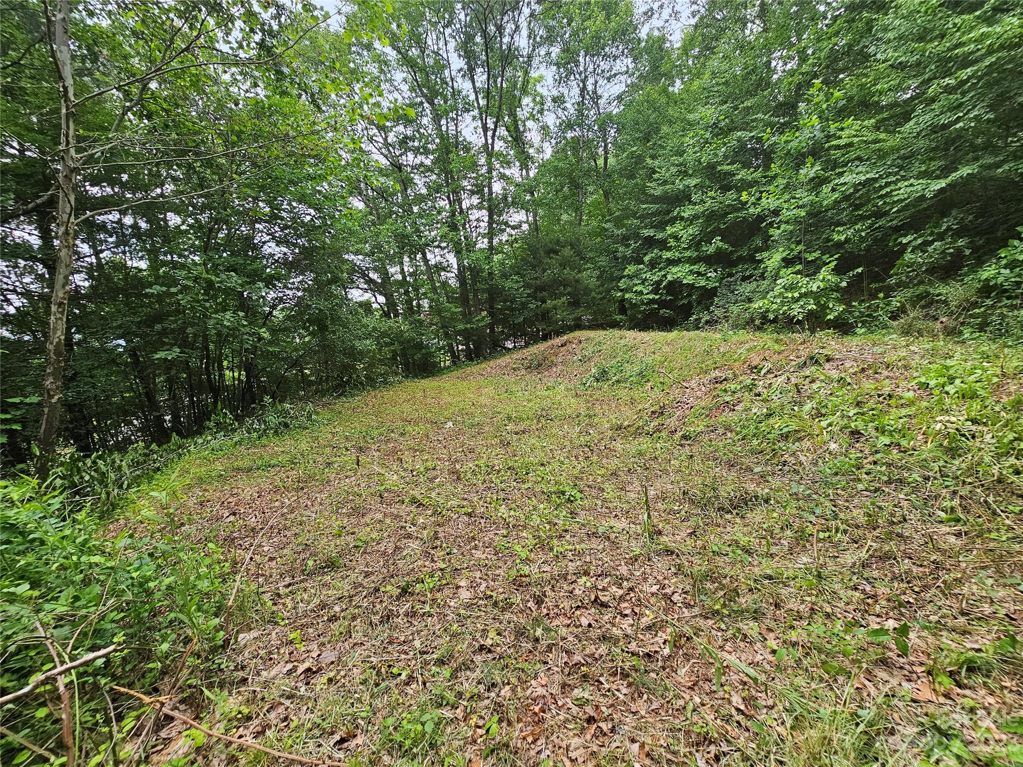 Hyder Mountain Acres - Land