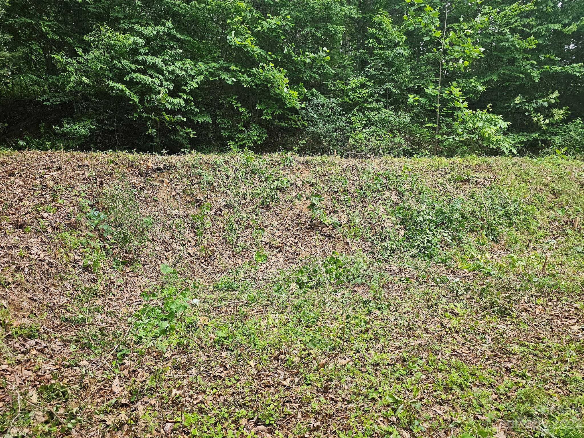 Hyder Mountain Acres - Land