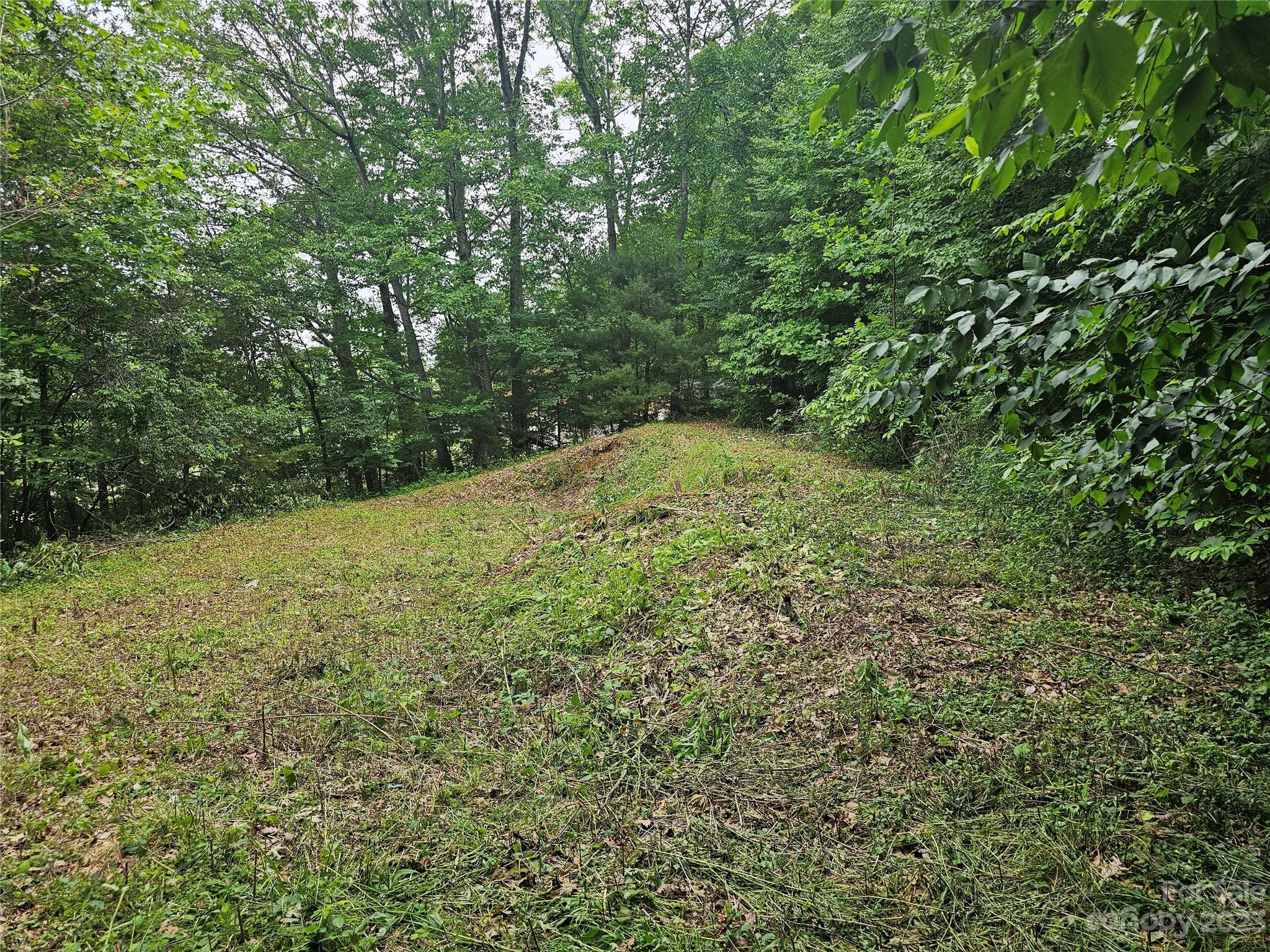 Hyder Mountain Acres - Land