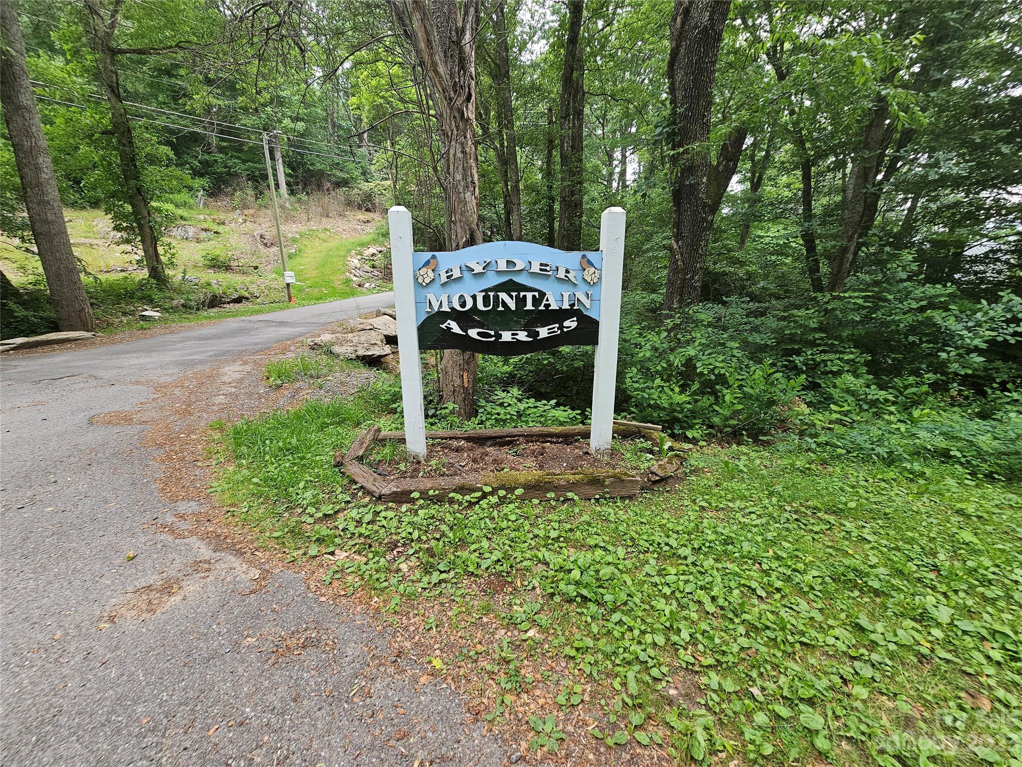 Hyder Mountain Acres - Land