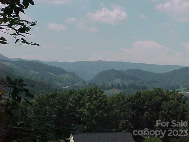 Hyder Mountain Acres - Land