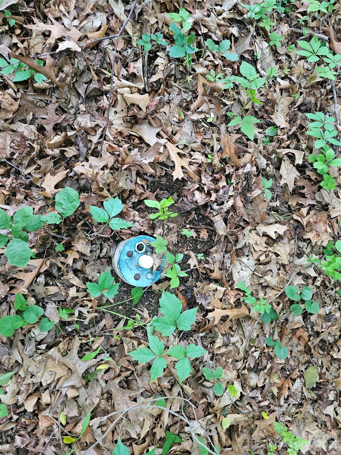 Hyder Mountain Acres - Land