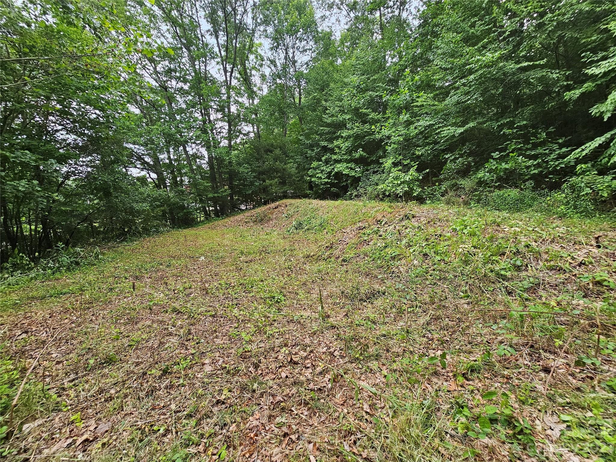 Hyder Mountain Acres - Land