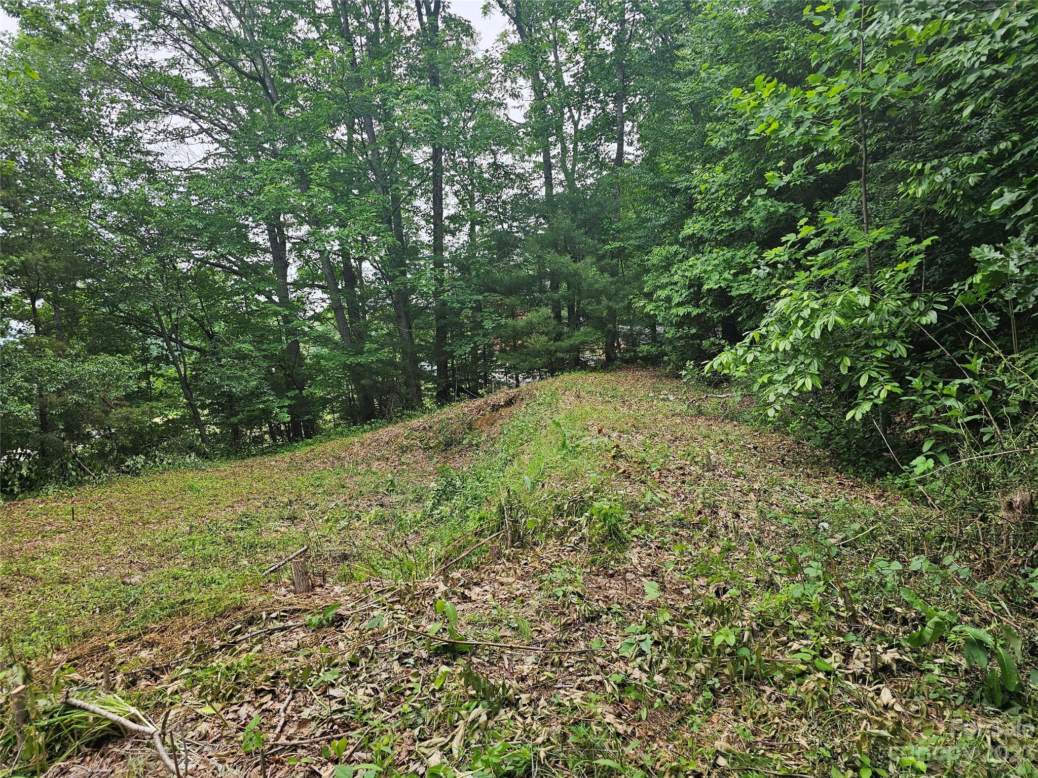 Hyder Mountain Acres - Land