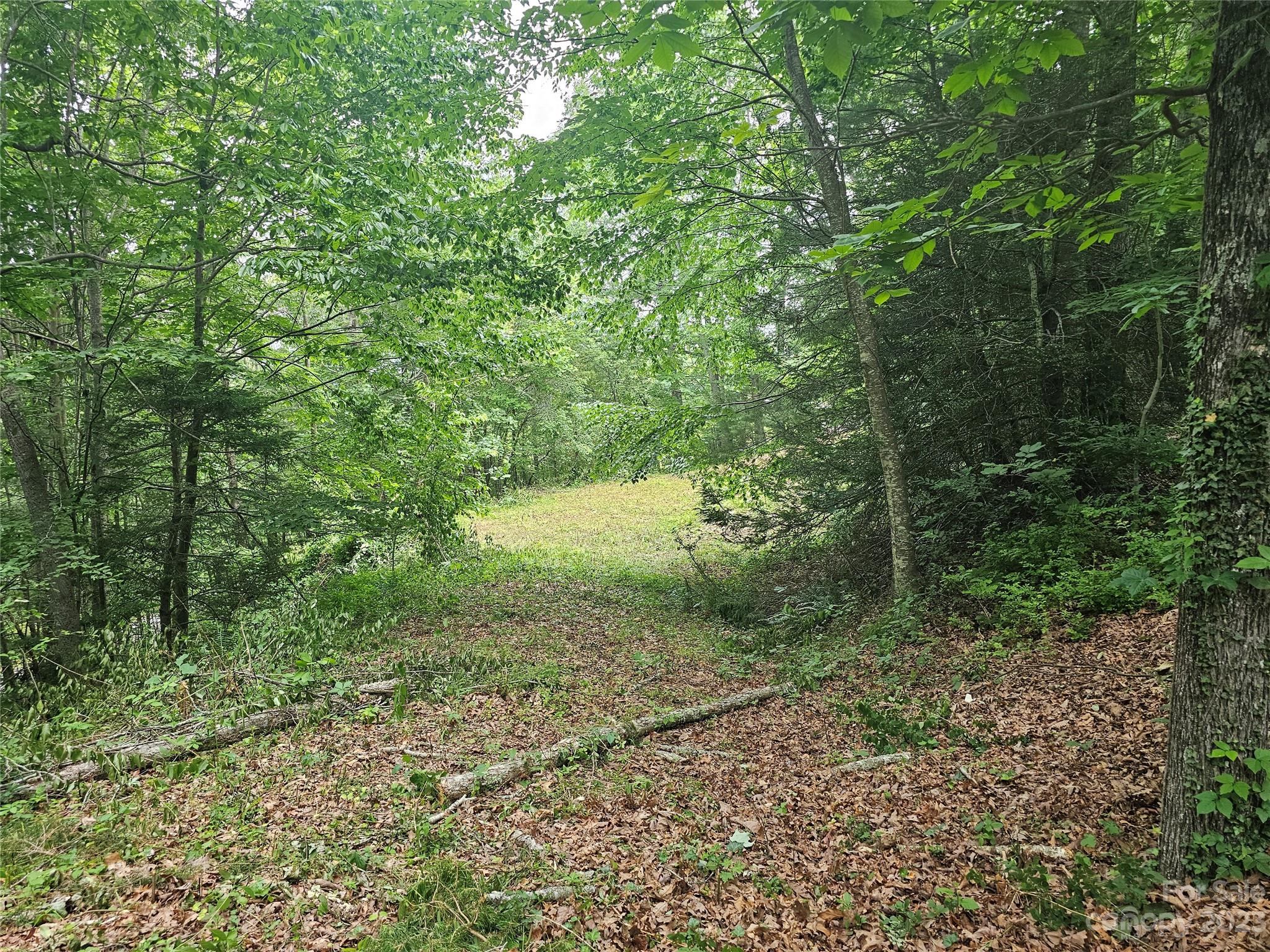 Hyder Mountain Acres - Land