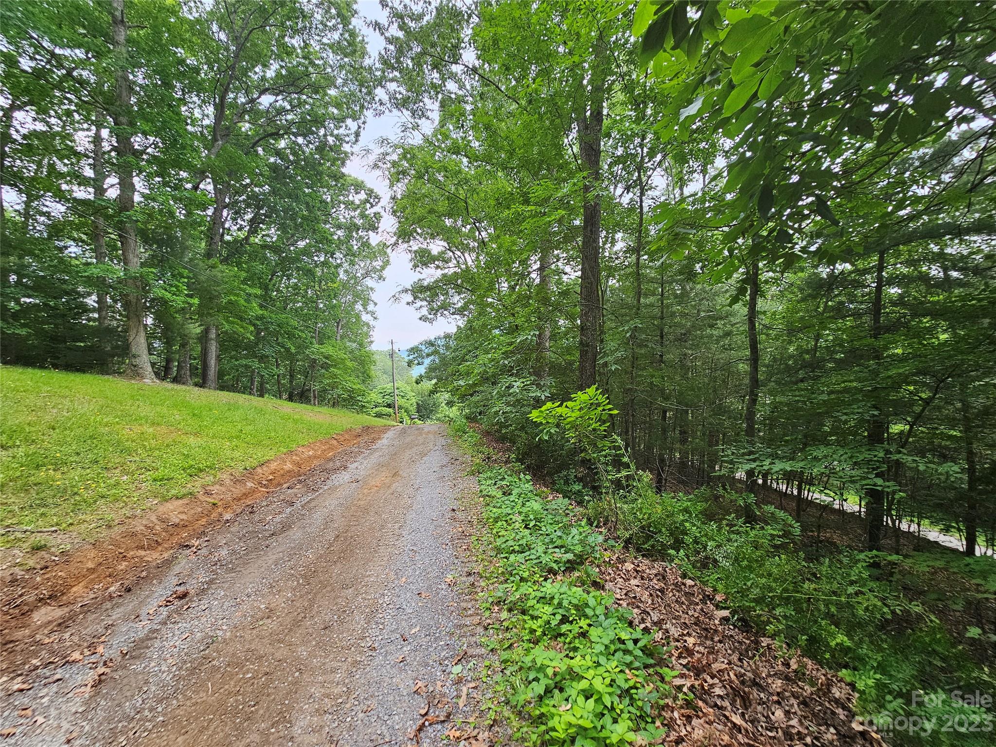 Hyder Mountain Acres - Land