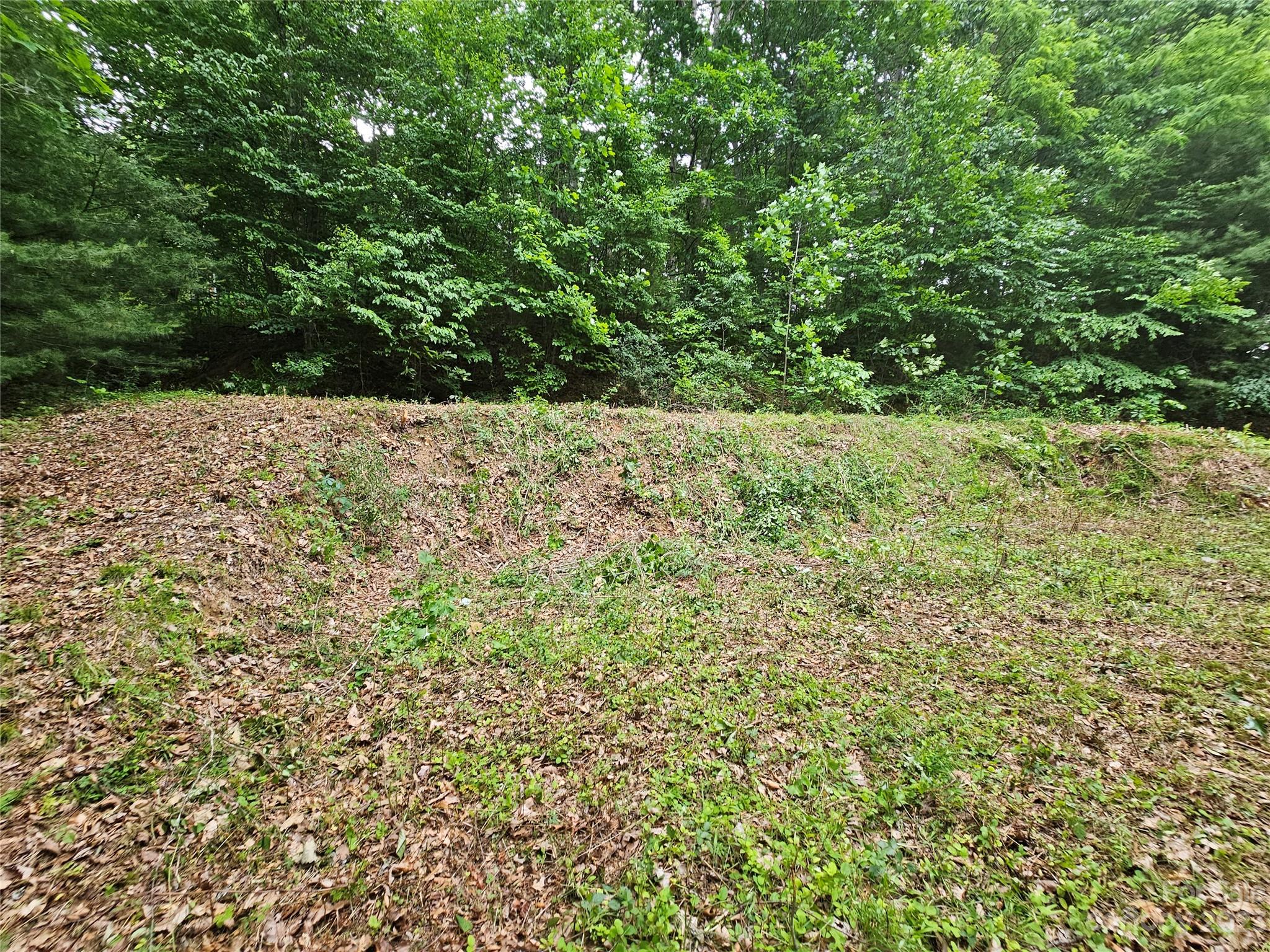 Hyder Mountain Acres - Land