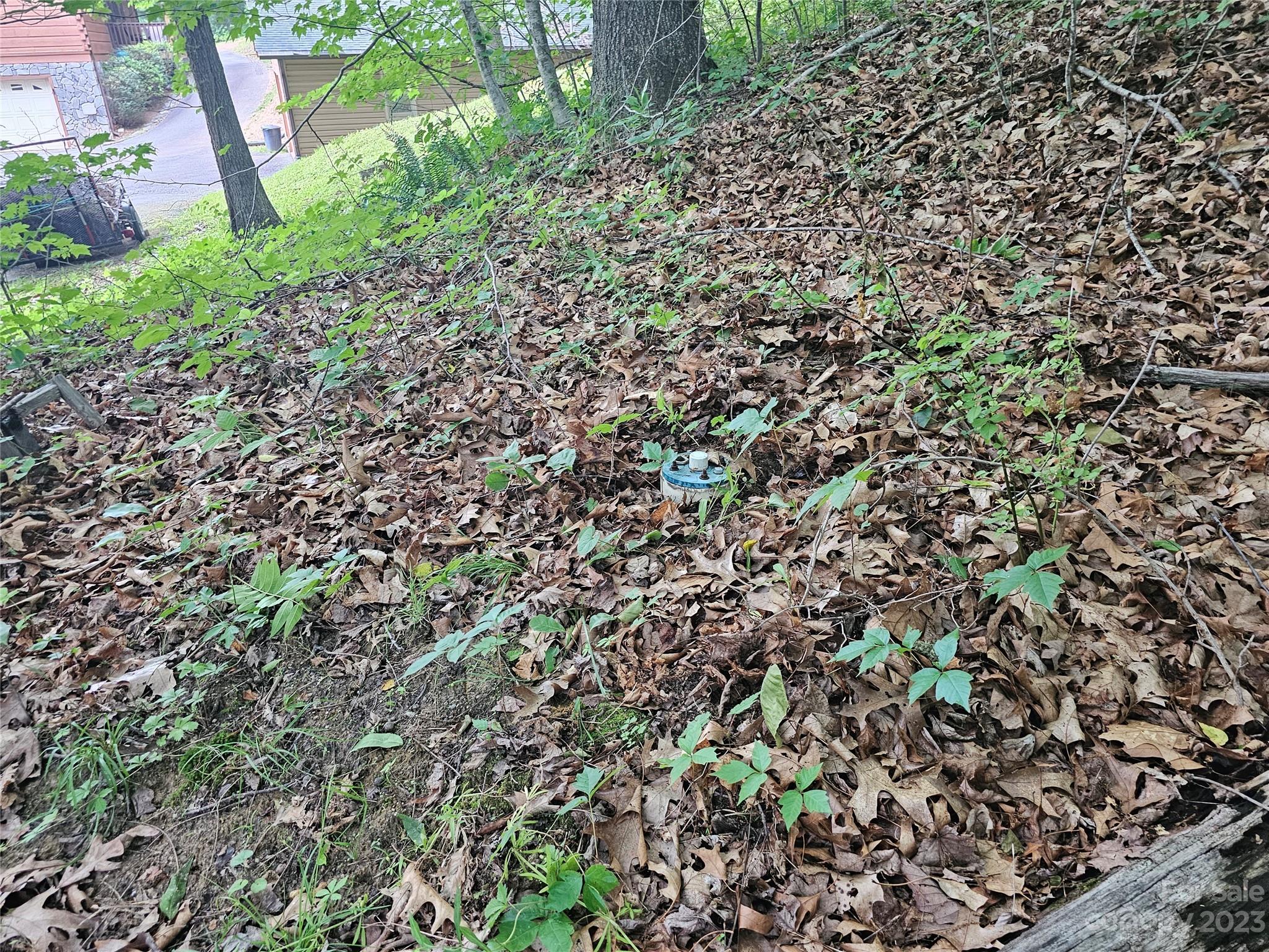 Hyder Mountain Acres - Land