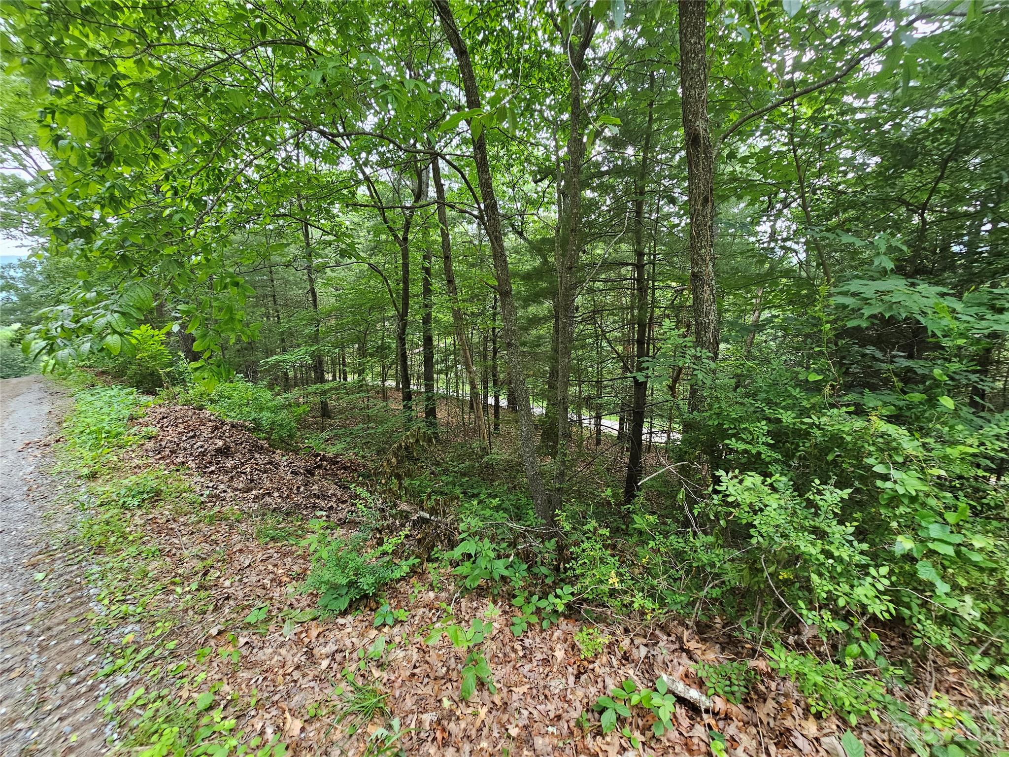 Hyder Mountain Acres - Land