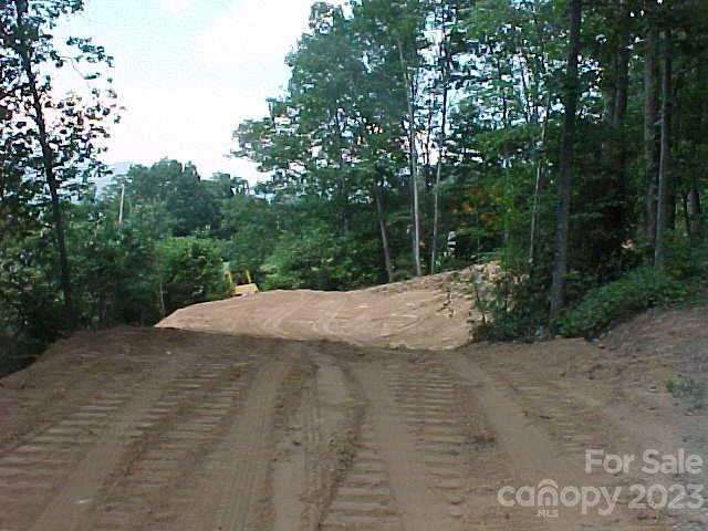 Hyder Mountain Acres - Land