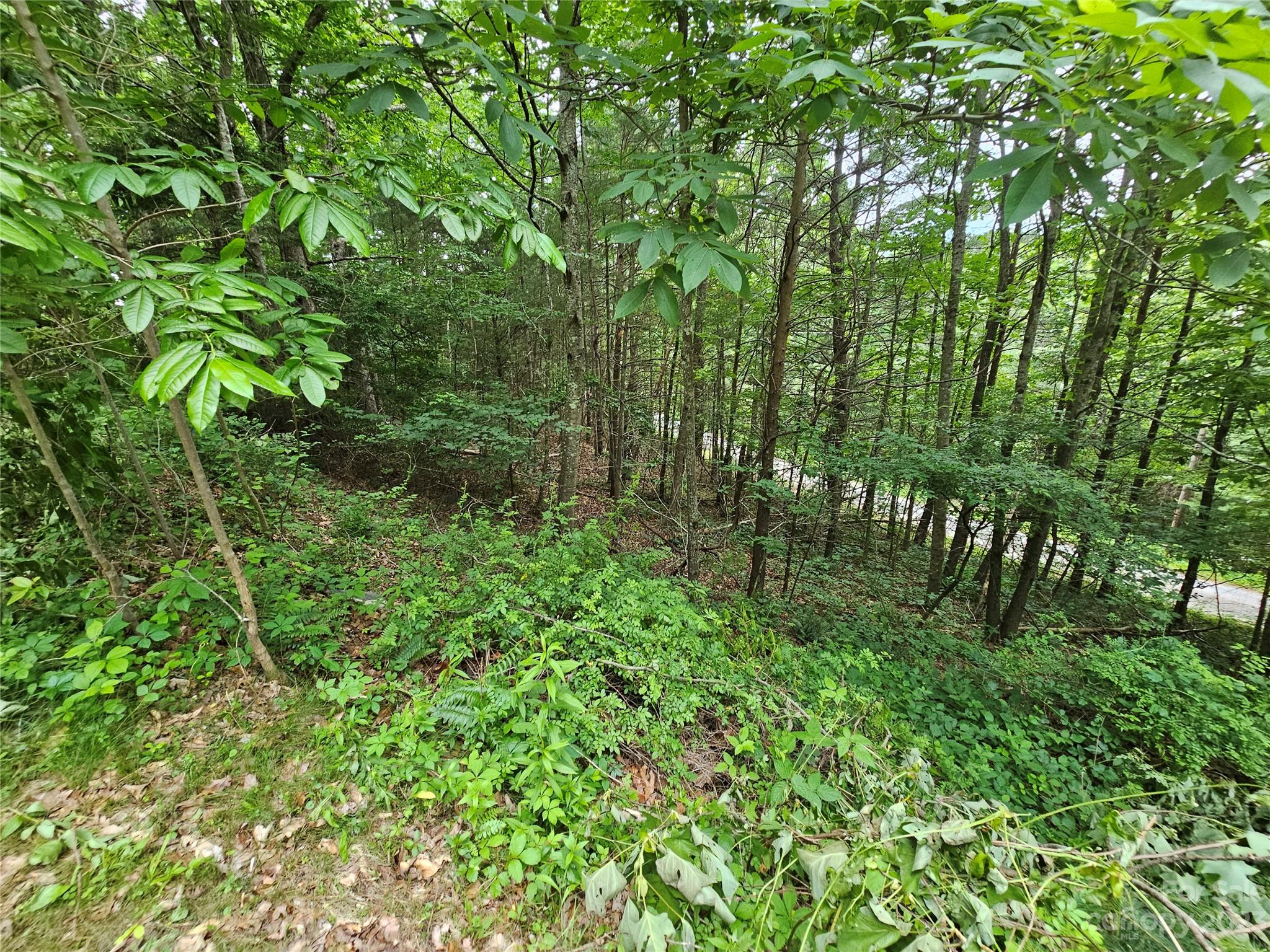 Hyder Mountain Acres - Land