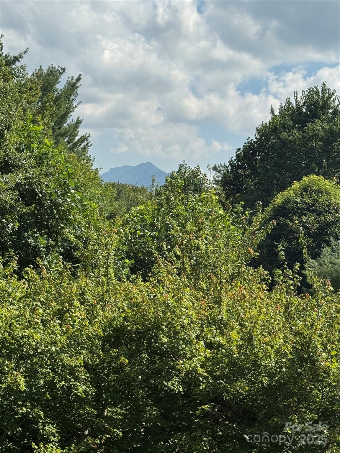 Linville Land Harbor - Residential