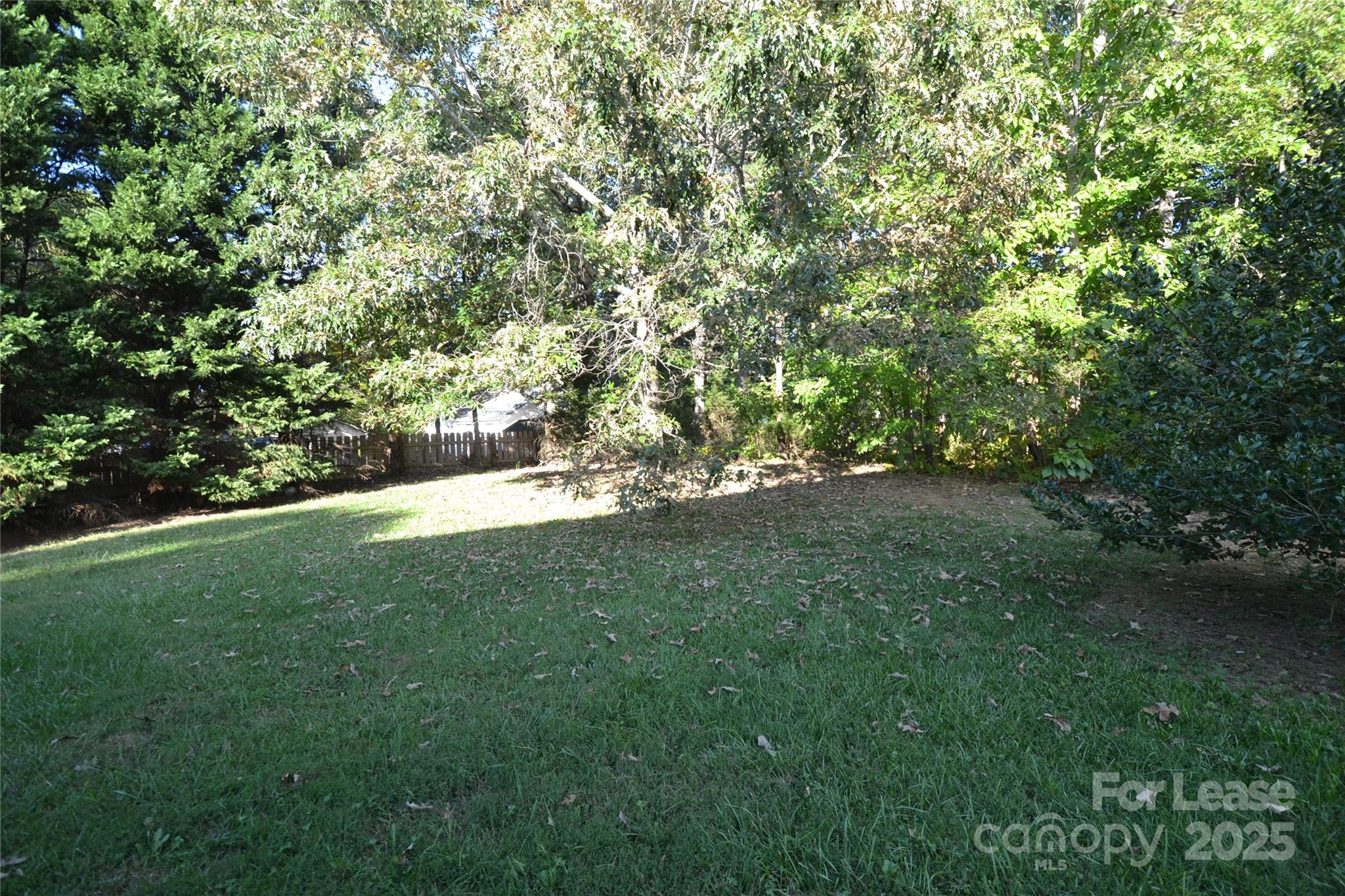 None - Residential Lease