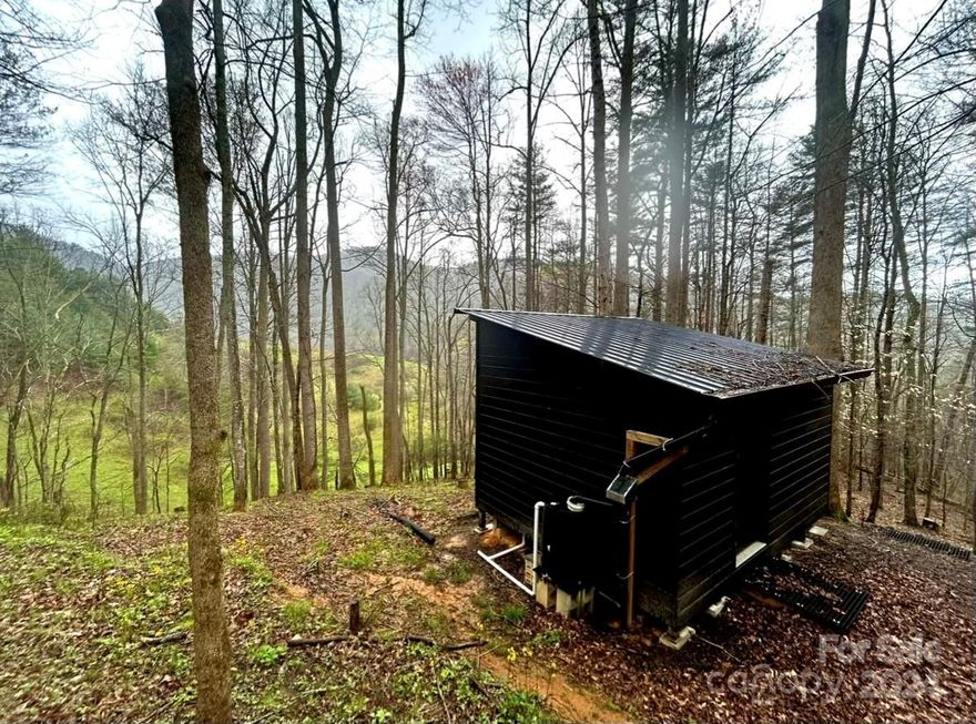 Looking for privacy ? Nature's Playground !  Immerse yourself in the natural beauty of Madison County, 14.16 Private, rolling  acres  with lush forests where deer and turkey roam, birds sing, making this parcel the perfect backdrop for your wilderness retreat. Build your next primary or vacation home right  here in the beautiful blue ridge mountains. Live in the cute off-grid tiny cabin that sits on the property while building your dream home!  Tiny home Has a limited use septic system installed from previous owner. Fiber Optic and electric readily available. All this and Conveniently located Minutes to town of Marshall; enjoy the charm of the historic town of Marshall, offering quaint shops, cozy cafes, and a vibrant community spirit. Come Let your imagination run wild! Unrestricted ; allowing you the freedom to build your dream home, start a farm or create a secluded getaway, all without limitations! Private , end of road location.Your sanctuary from all the hustle and bustle!