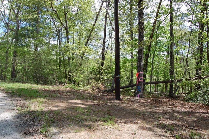 GREAT LOCATION-GREAT CABIN LOT-PRICED TO SELL! NEW SURVEY & SEPTIC/WELL PERMIT! Lovely, wooded .55 acre lot inside the main gate of Riverbend at Lake Lure.Convenient to the community's amenities: Enjoy swimming, fishing & non-motorized boating in Mirror Lake, Little Mirror Lake, or in the Broad River! Mirror Lake also has a beach & a picnic pavilion for your enjoyment.This property has been approved  for a 2 bedroom septic tank.