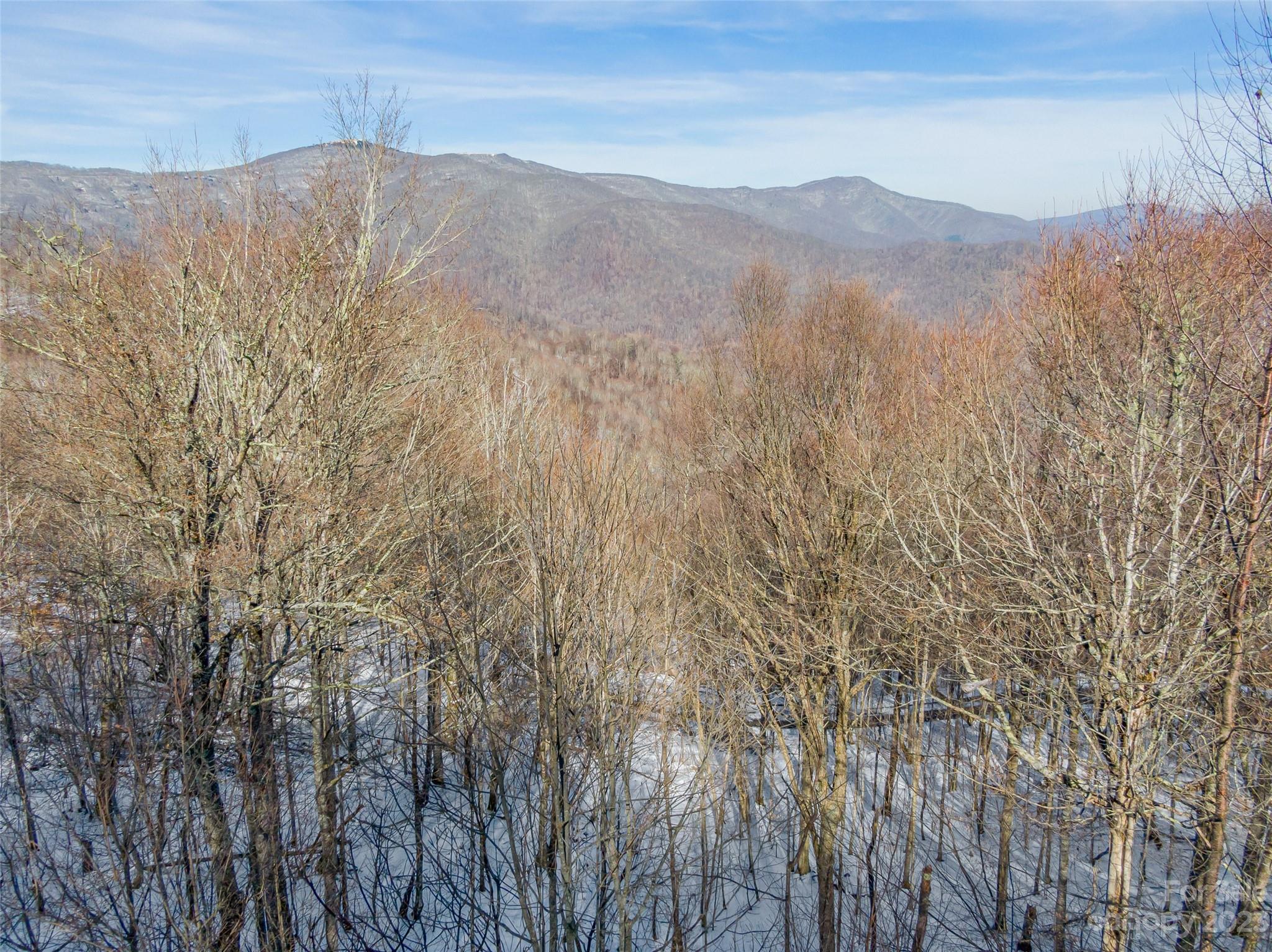 The Preserve at Wolf Laurel - Land