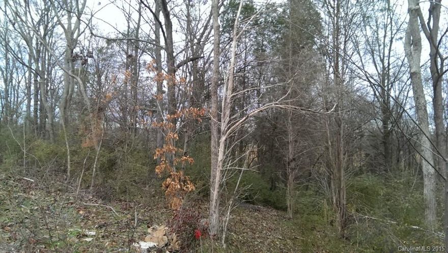 Price Reduced !!!   Bring Offers, Seller is Motivated !!   Beautiful Wooded lot, to build your dream home on. Sewer is available (tap fee required) 
Great Location , Close to Schools, Shopping, Etc


Seller says Bring Offers, they are ready to  Sell