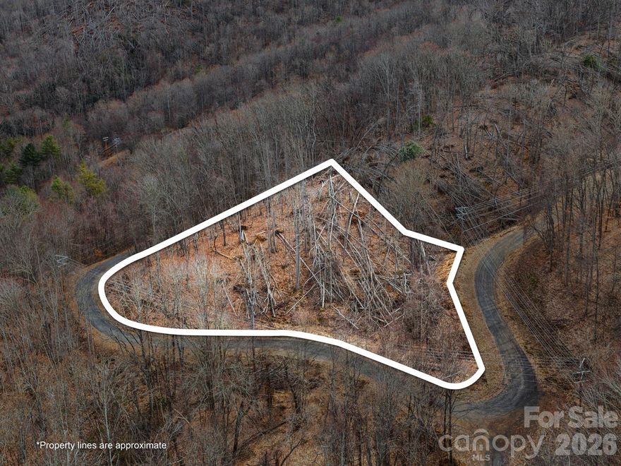 Build your dream mountain home on Lot 11 in Mountain Heritage Estates, a gated community in beautiful Yancey County NC. This 2.2-acre homesite offers a peaceful wooded setting with a seasonal stream and well-maintained community roads. Potential for a homesite with mountain views! Located adjacent to the prestigious Mountain Air community and just minutes from the charming, storybook downtown of Burnsville with local shops, dining, and arts. Enjoy the best of mountain living while still being approximately 30 minutes to Weaverville and 45 minutes to Asheville. Beautiful natural setting, excellent location, and priced to sell!