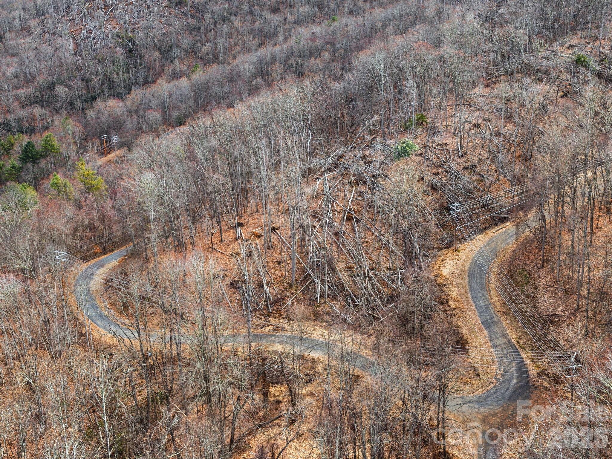 99999 Winterberry Road 11