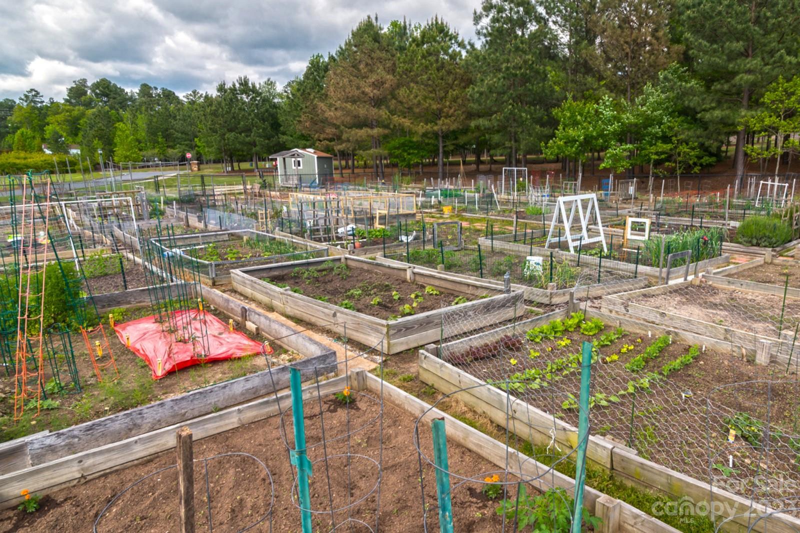 Sun City Carolina Lakes - Residential