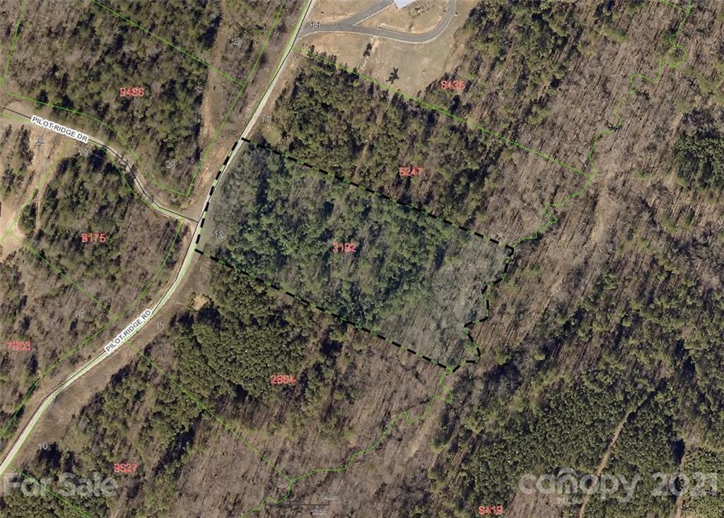 356 Pilot Ridge Road 12