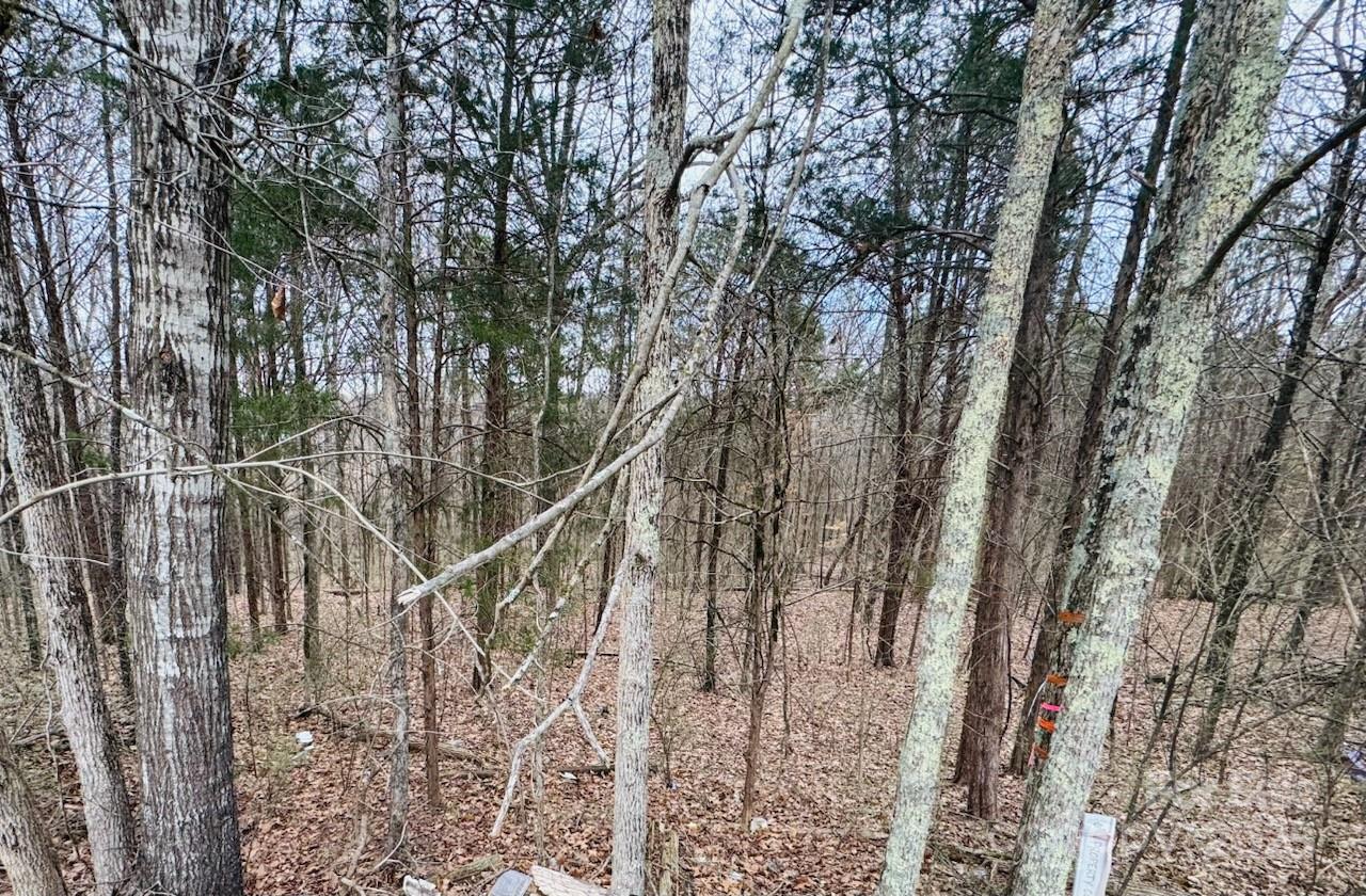 13407 Circle Drive 40