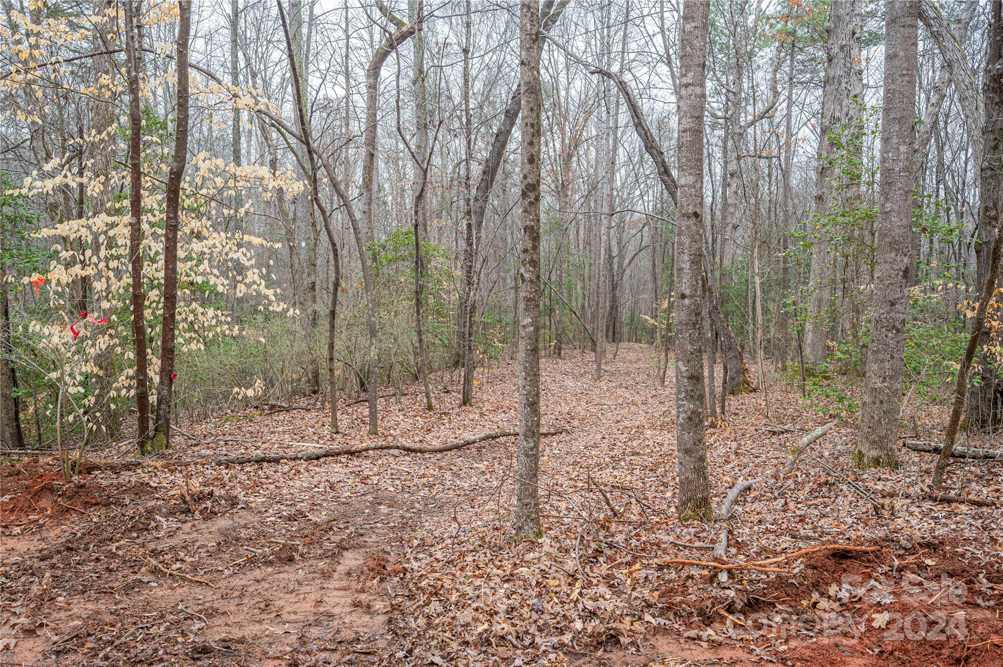 The Preserve at Grassy Creek - Land