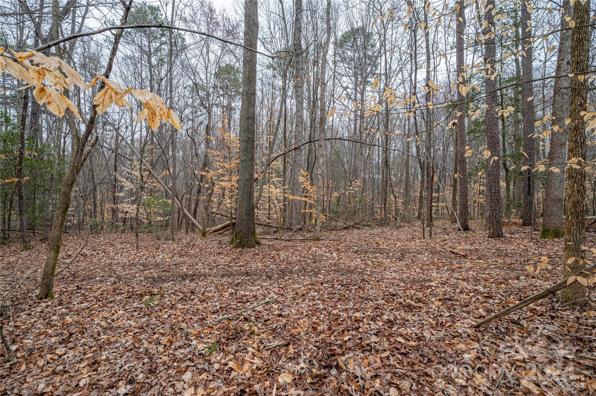 The Preserve at Grassy Creek - Land