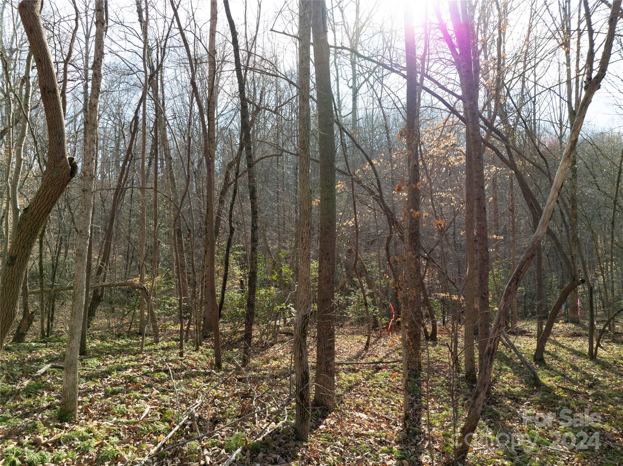 The Preserve at Grassy Creek - Land