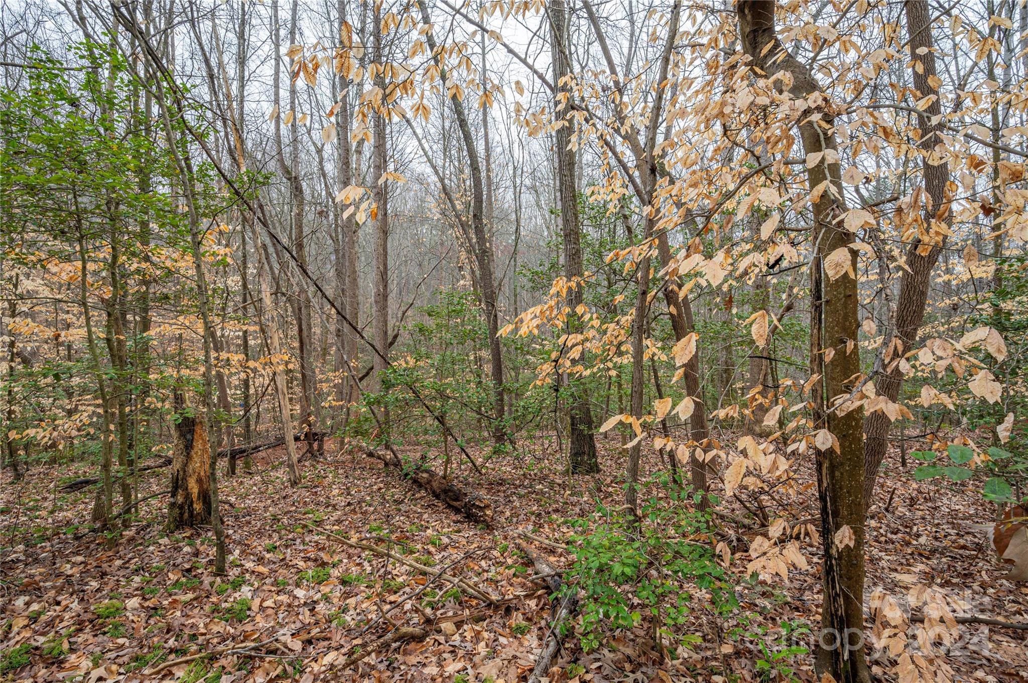 The Preserve at Grassy Creek - Land