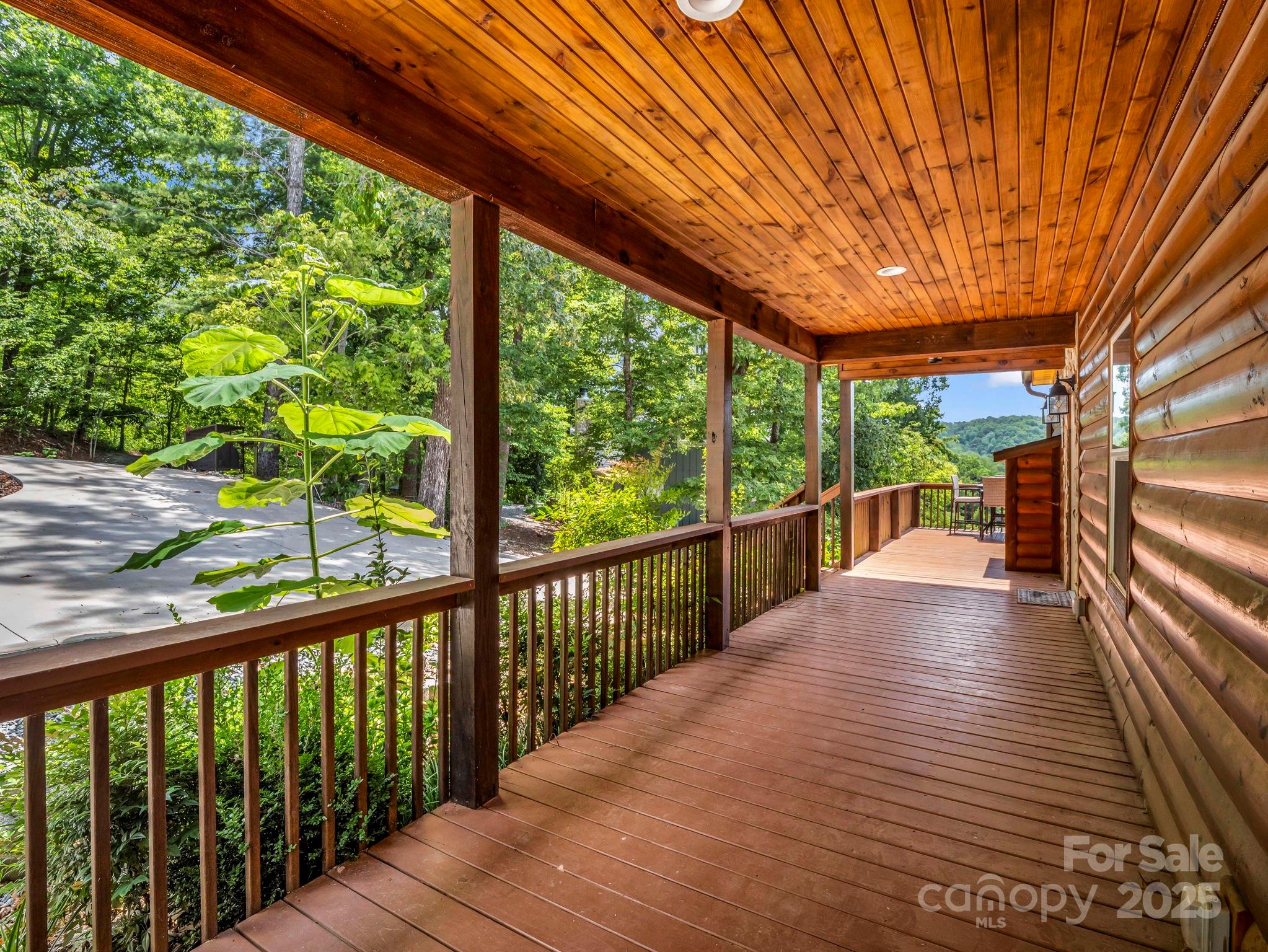 Rumbling Bald on Lake Lure - Residential