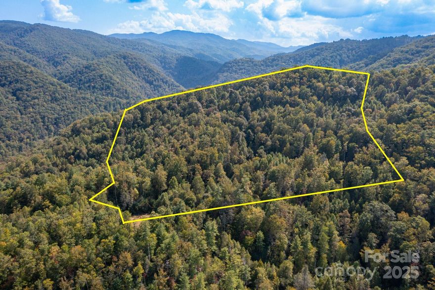 Nearly 20 acres with direct frontage on the Pisgah National Forest, just 2 miles from downtown Hot Springs and minutes to the Appalachian Trail. The property offers easy access via a logging road easement and features a cleared, gently sloping area suitable for a potential homesite. A trail leads to a ridge and summit bordering the national forest, with wooded terrain ideal for hiking, recreation, or a private mountain retreat. With selective clearing, the ridge may offer long-range mountain views. A rare opportunity combining privacy, usability, and proximity to town. NO DRIVE-BYS. Call listing agent to tour this incredible property