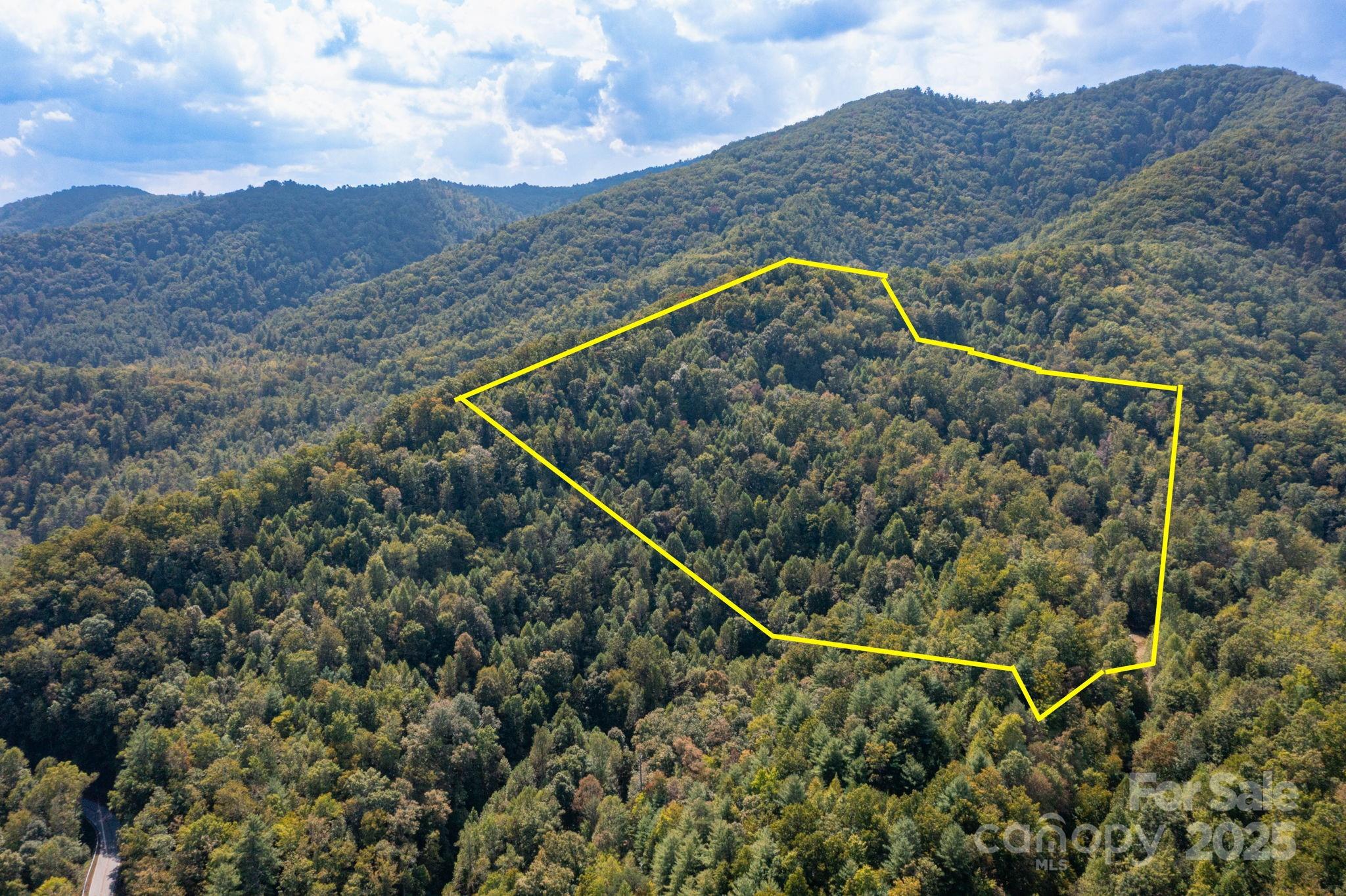 999 NC 209 Highway 9